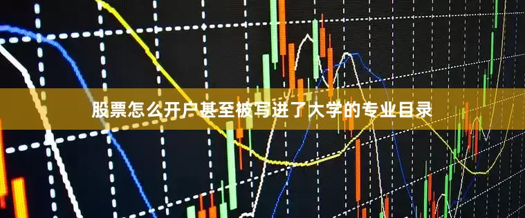 股票怎么开户甚至被写进了大学的专业目录