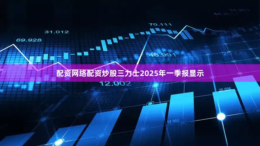 配资网络配资炒股三力士2025年一季报显示